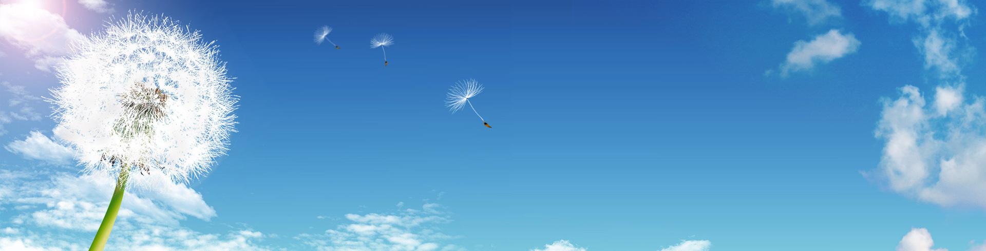 win·必赢登录入口