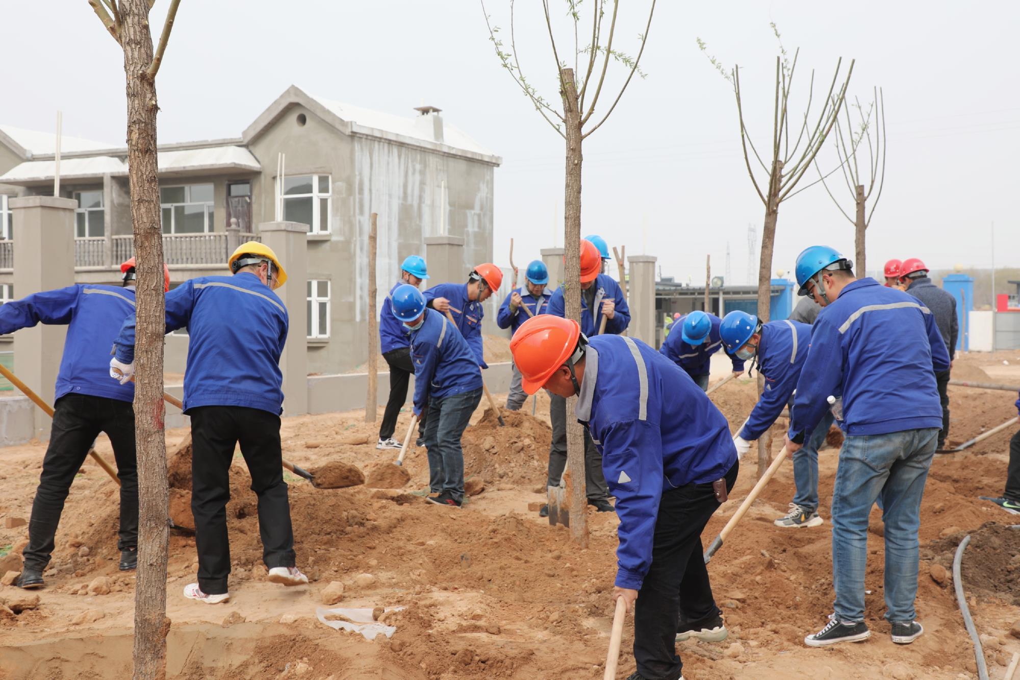 1635231985523879.jpeg 01.jpg