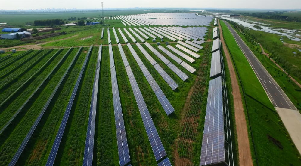 win·必赢登录入口