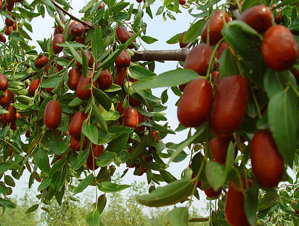 win·必赢登录入口