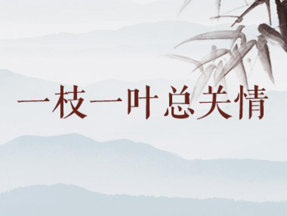 win·必赢登录入口