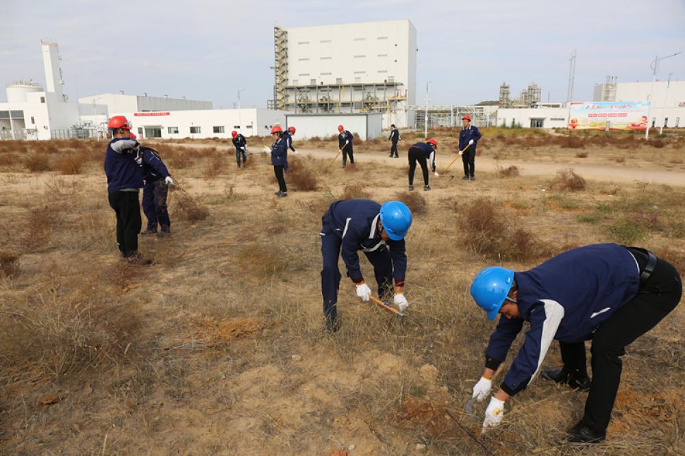 win·必赢登录入口