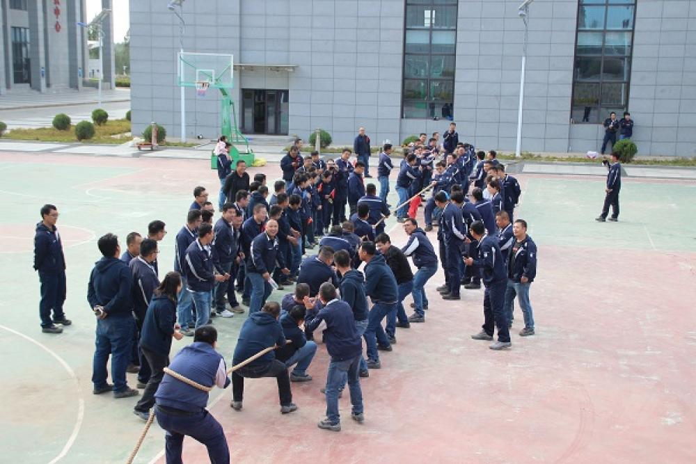 win·必赢登录入口